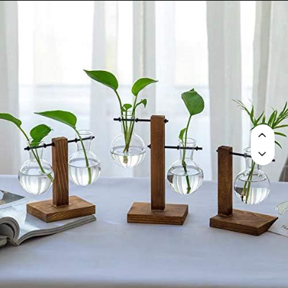 Desktop Plant Terrarium with Wooden Stand